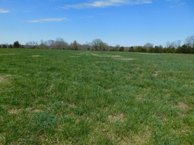 Hunting Property Bordering Ozark National Forest For Sale - image 8