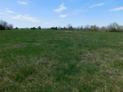Hunting Property Bordering Ozark National Forest For Sale - image 10