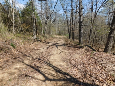 Hunting Property Bordering Ozark National Forest For Sale - image 16