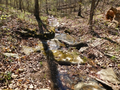 Hunting Property Bordering Ozark National Forest For Sale - image 3