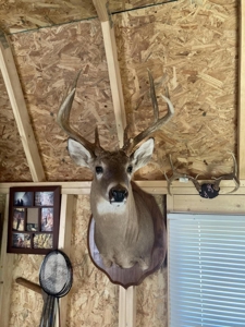 Hunting Property Bordering Ozark National Forest For Sale - image 4