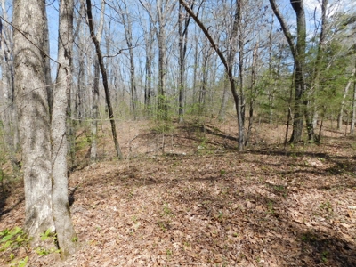 Hunting Property Bordering Ozark National Forest For Sale - image 11