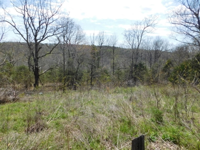 Hunting Property Bordering Ozark National Forest For Sale - image 20