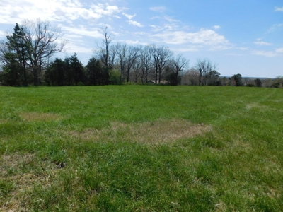 Hunting Property Bordering Ozark National Forest For Sale - image 9