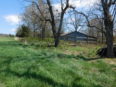 Hunting Property Bordering Ozark National Forest For Sale - image 31
