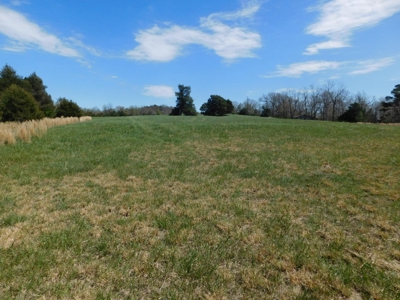Hunting Property Bordering Ozark National Forest For Sale - image 22