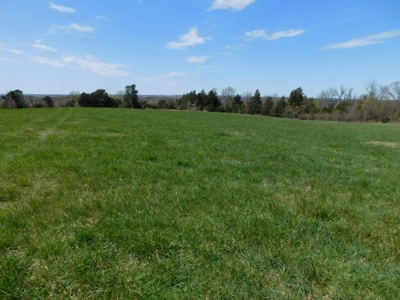 Hunting Property Bordering Ozark National Forest For Sale - image 7