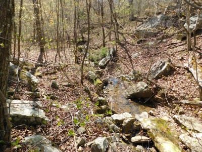 Hunting Property Bordering Ozark National Forest For Sale - image 18