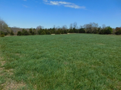 Hunting Property Bordering Ozark National Forest For Sale - image 1