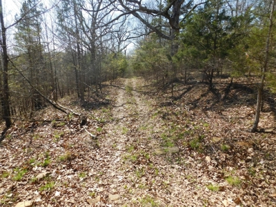 Hunting Property Bordering Ozark National Forest For Sale - image 13