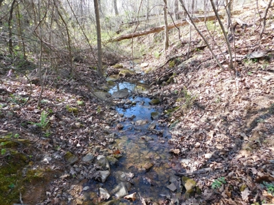 Hunting Property Bordering Ozark National Forest For Sale - image 19