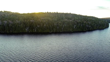 Cold Stream Pond Lakefront Property - image 22