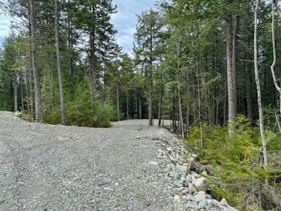 Cold Stream Pond Lakefront Property - image 3