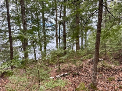 Cold Stream Pond Lakefront Property - image 12
