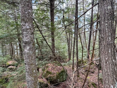 Cold Stream Pond Lakefront Property - image 7