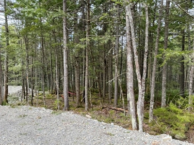 Cold Stream Pond Lakefront Property - image 4