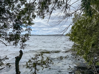 Cold Stream Pond Lakefront Property - image 16