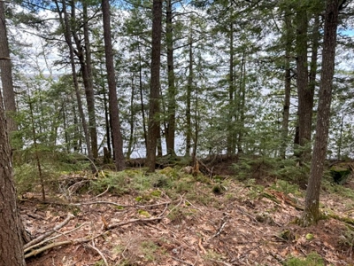 Cold Stream Pond Lakefront Property - image 19