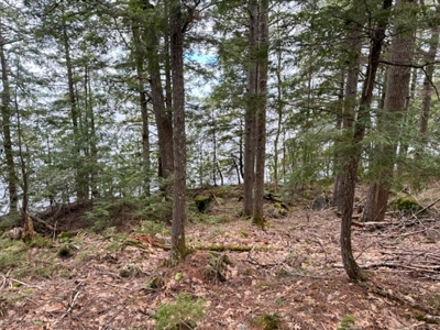 Cold Stream Pond Lakefront Property - image 18