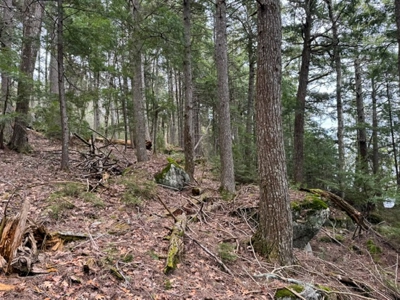 Cold Stream Pond Lakefront Property - image 14
