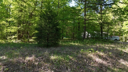 Holiday Shores Living In Buffalo Junction, VA - image 10
