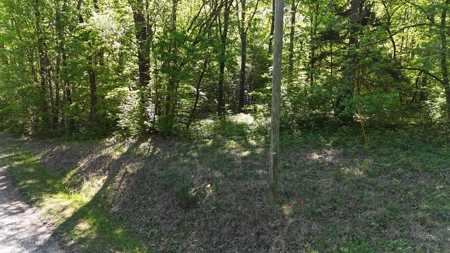 Holiday Shores Living In Buffalo Junction, VA - image 8