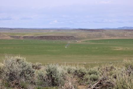 Eastern Oregon Silver Sage Farm - image 9