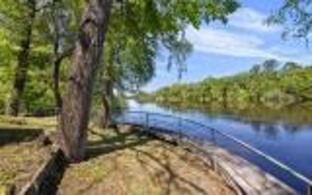 Riverfront Retreat On The Suwannee River In Branford Florida - image 44