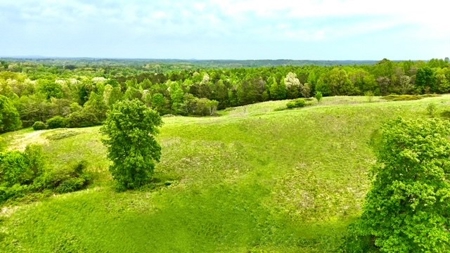 The Chambers Farm - image 10