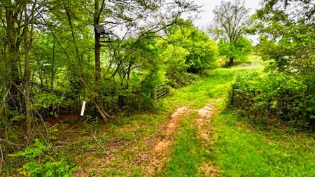 The Chambers Farm - image 37