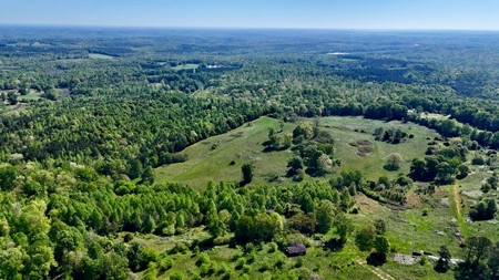 The Chambers Farm - image 14