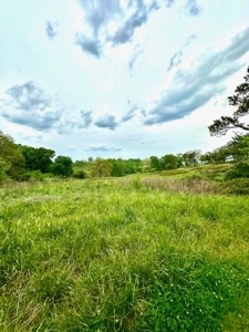 The Chambers Farm - image 4