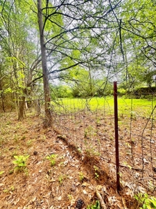 The Chambers Farm - image 7