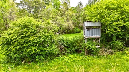 The Chambers Farm - image 27