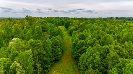 The Chambers Farm - image 34