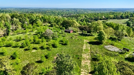 The Chambers Farm - image 5