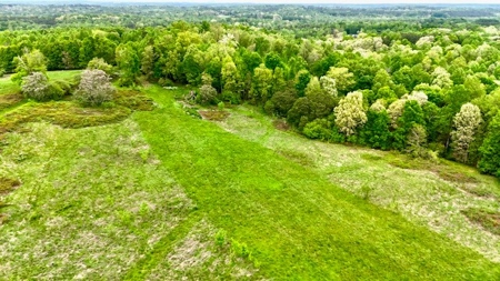 The Chambers Farm - image 40