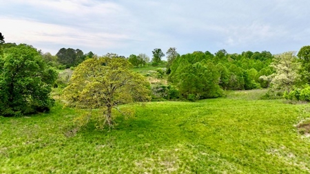 The Chambers Farm - image 48