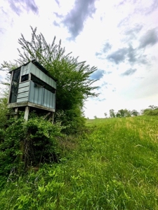 The Chambers Farm - image 8