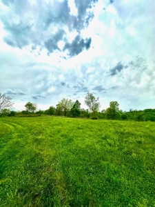 The Chambers Farm - image 1