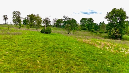 The Chambers Farm - image 28
