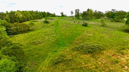 The Chambers Farm - image 24