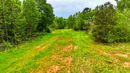 The Chambers Farm - image 35