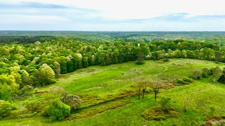 The Chambers Farm - image 9