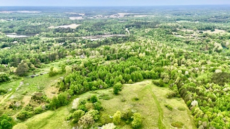 The Chambers Farm - image 39