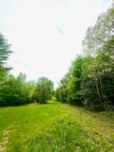 The Chambers Farm - image 6