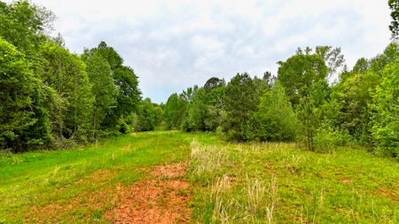 The Chambers Farm - image 30