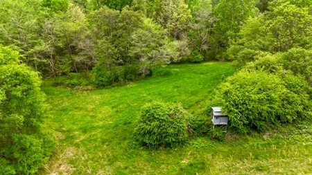 The Chambers Farm - image 23