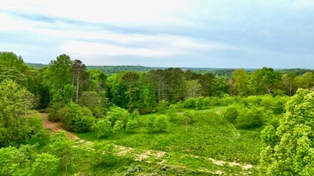 The Chambers Farm - image 44