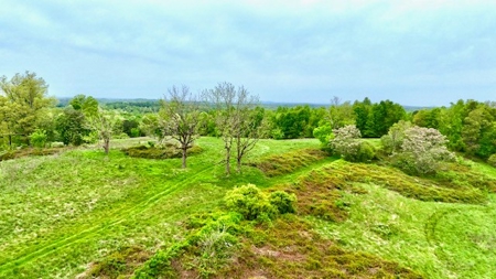 The Chambers Farm - image 38